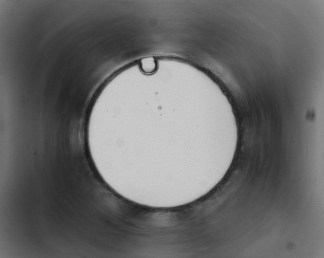 X0000103961268200809261803