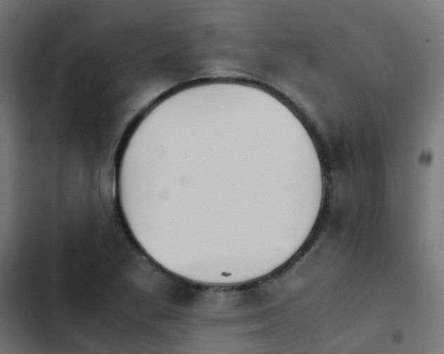 X0000103961269200809261803