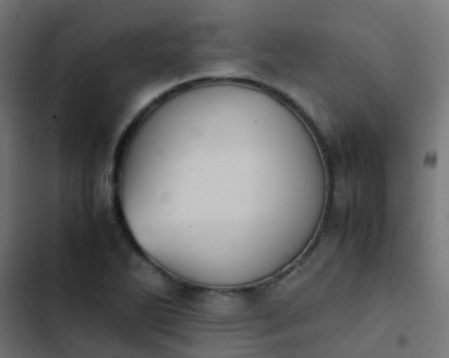 X0000103961270200809261803