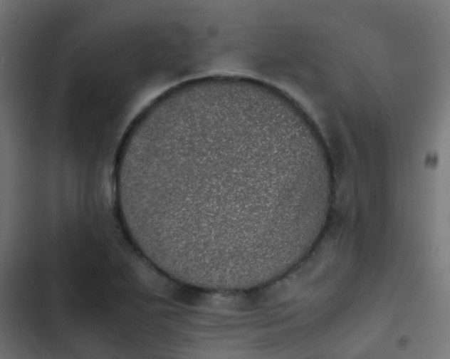 X0000103961271200809261803