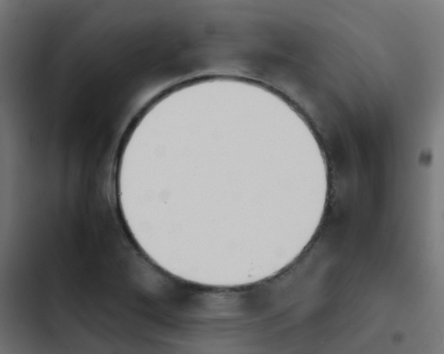 X0000103961272200809261803