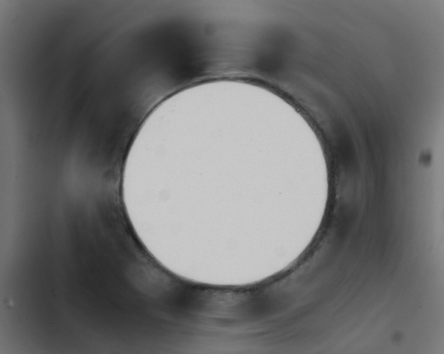 X0000103961273200809261803