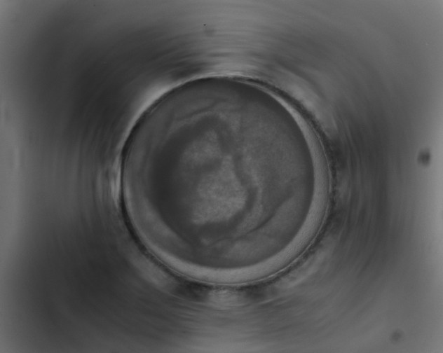 X0000103961275200809261802