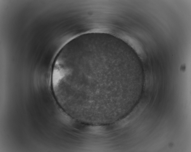 X0000103961276200809261802