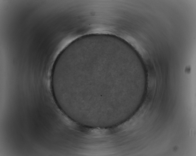 X0000103961277200809261802