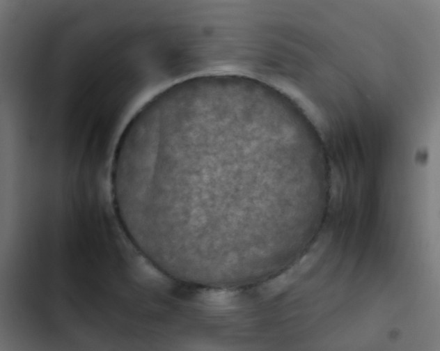 X0000103961278200809261802