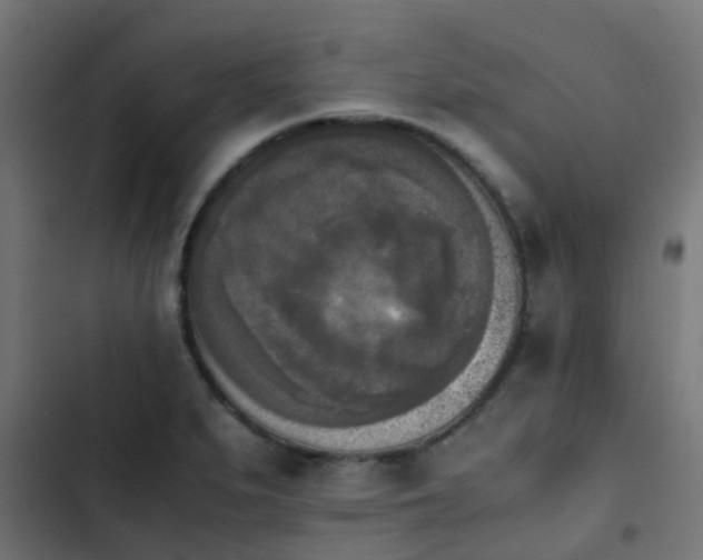 X0000103961279200809261802