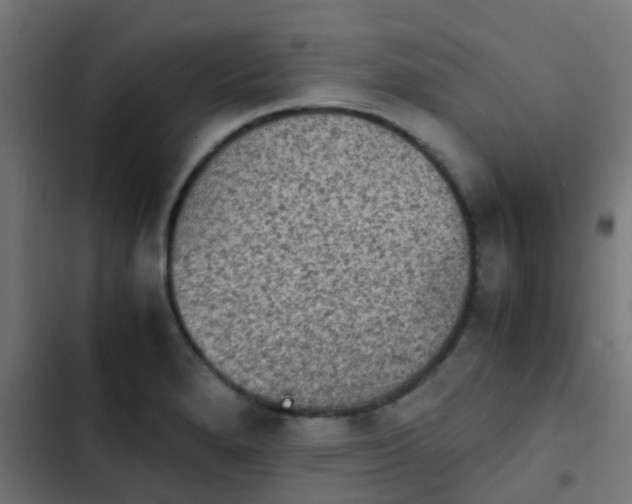 X0000103961280200809261802