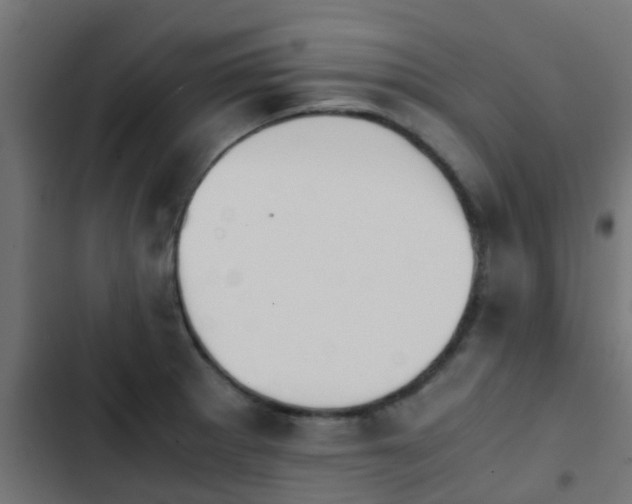 X0000103961281200809261802