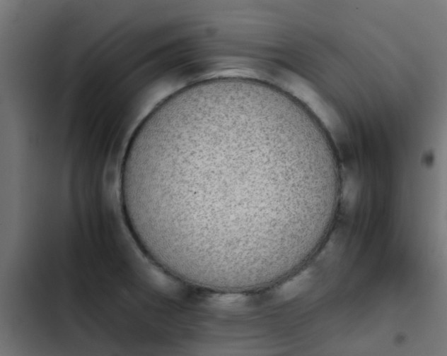 X0000103961282200809261802
