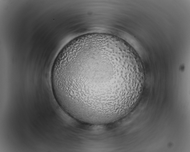X0000103961283200809261802