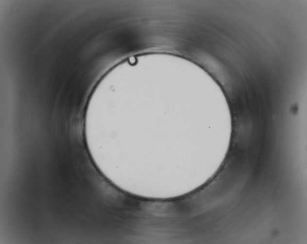 X0000103961284200809261802