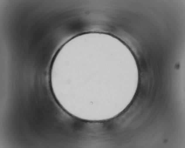 X0000103961285200809261802