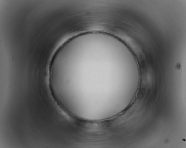 X0000103961286200809261802