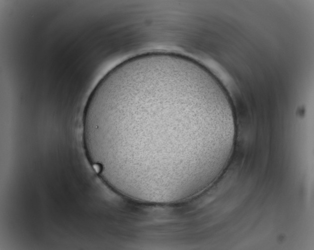 X0000103961287200809261802