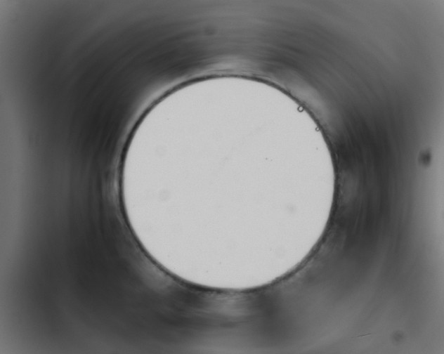 X0000103961288200809261802