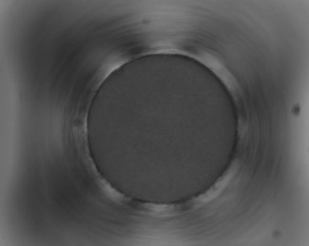 X0000103961289200809261802
