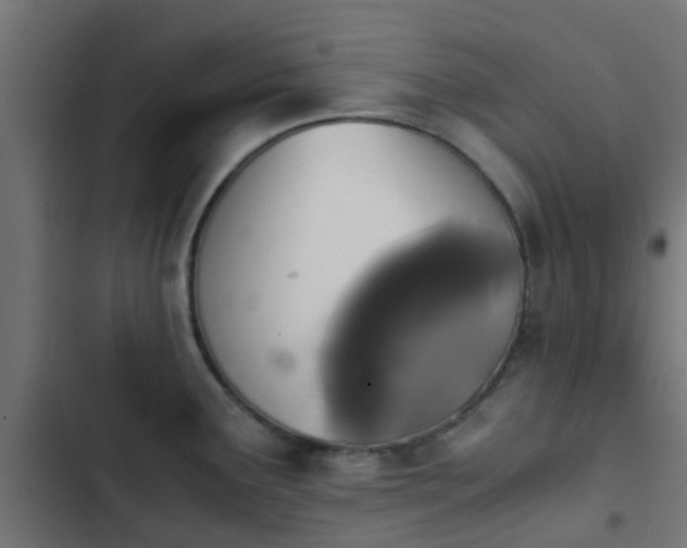 X0000103961291200809261802