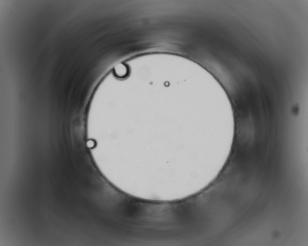 X0000103961292200809261802