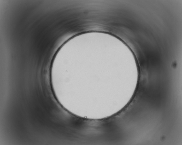 X0000103961293200809261802