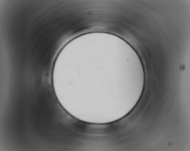 X0000103961296200809261802