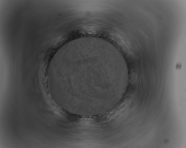 X0000103961297200809261801