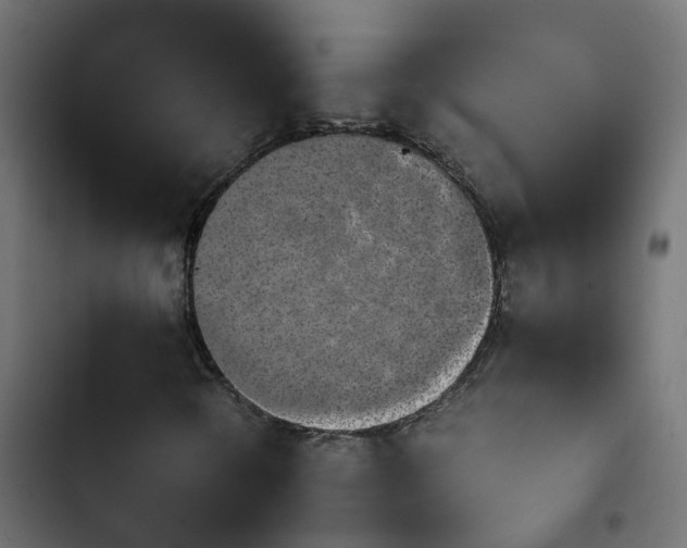 X0000103961298200809261801
