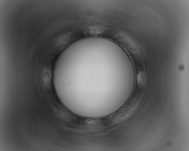 X0000103961299200809261801
