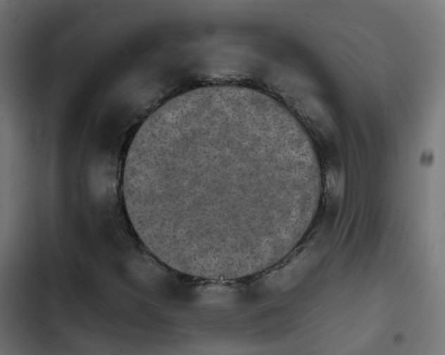 X0000103961300200809261801