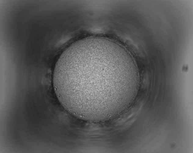 X0000103961301200809261801