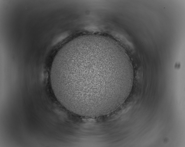 X0000103961302200809261802