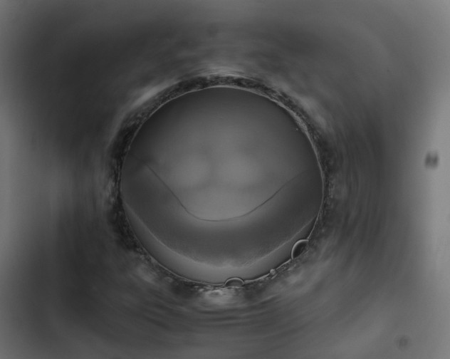 X0000103961303200809261802