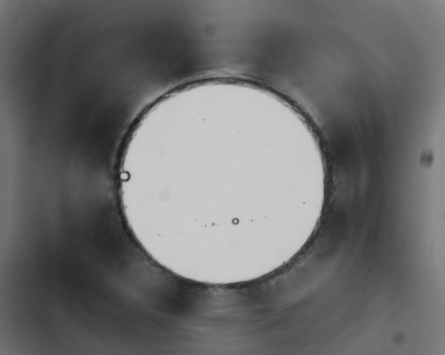 X0000103961308200809261802