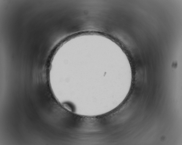 X0000103961310200809261802