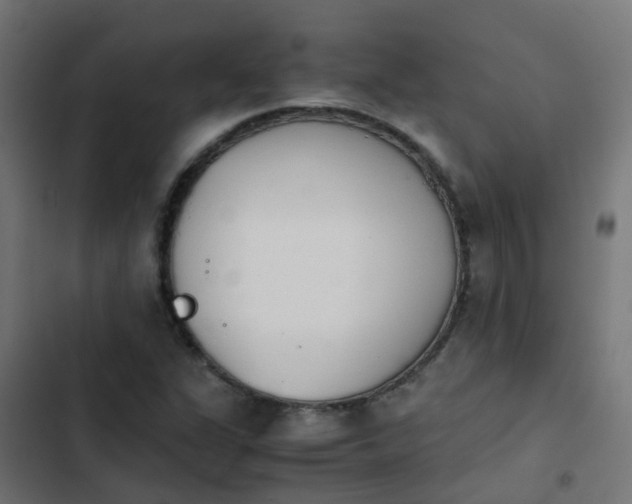 X0000103961311200809261802