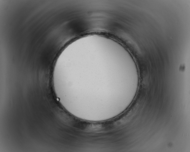 X0000103961313200809261802