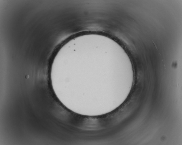 X0000103961315200809261802