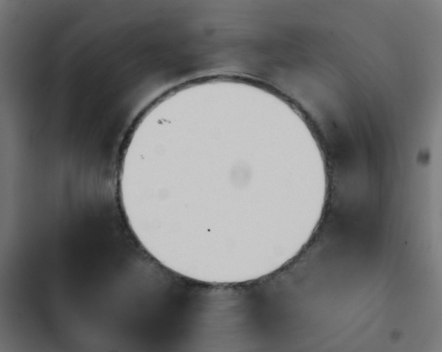 X0000103961316200809261802