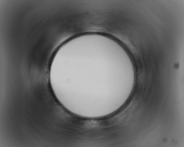 X0000103961317200809261802