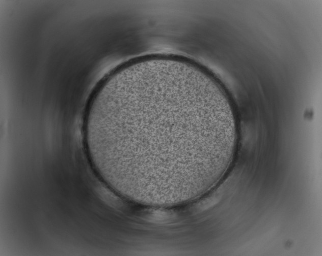 X0000103961318200809261802
