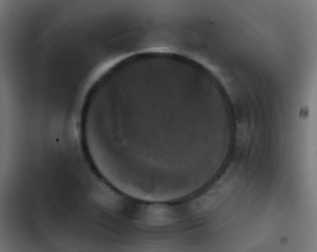 X0000103961319200809261802