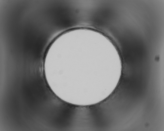 X0000103961320200809261802