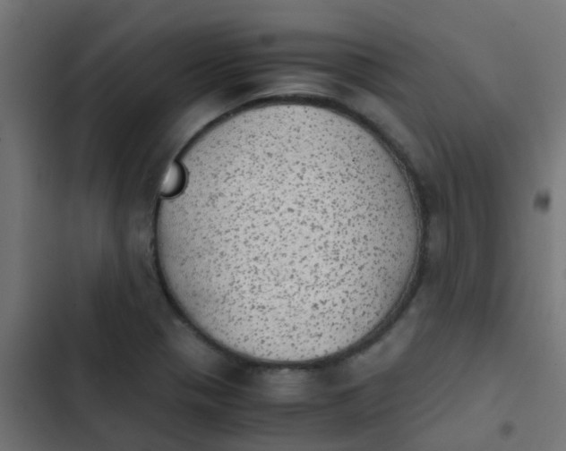 X0000103961321200809261802