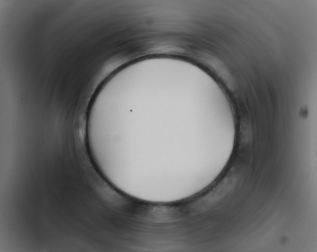 X0000103961322200809261802