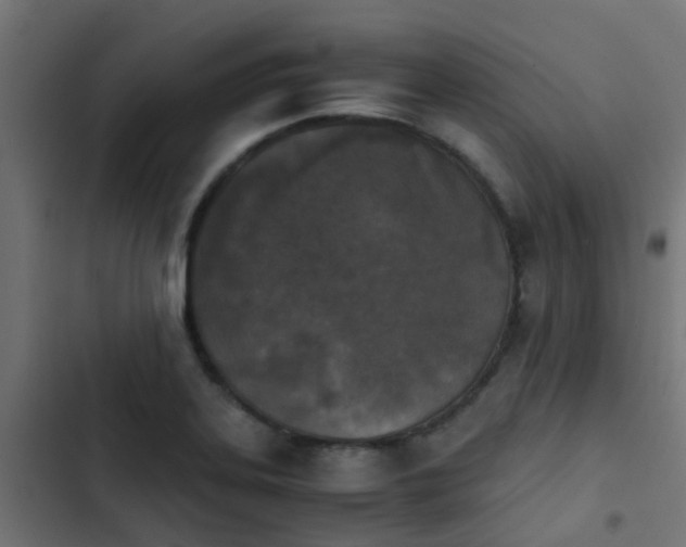 X0000103961323200809261802