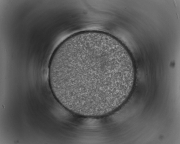X0000103961324200809261802
