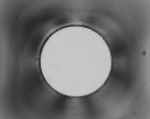 X0000103961326200809261802