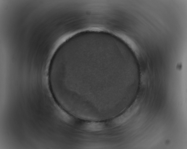 X0000103961327200809261802