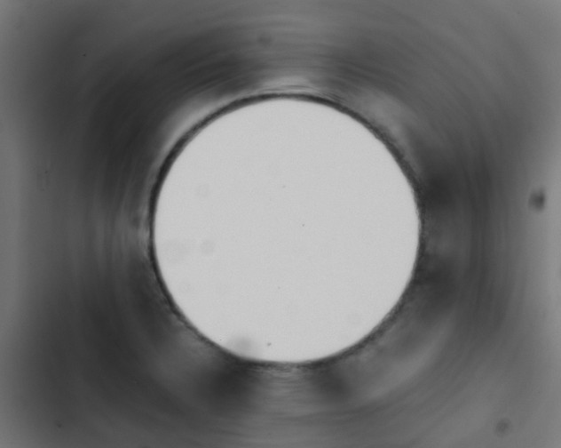 X0000103961328200809261802