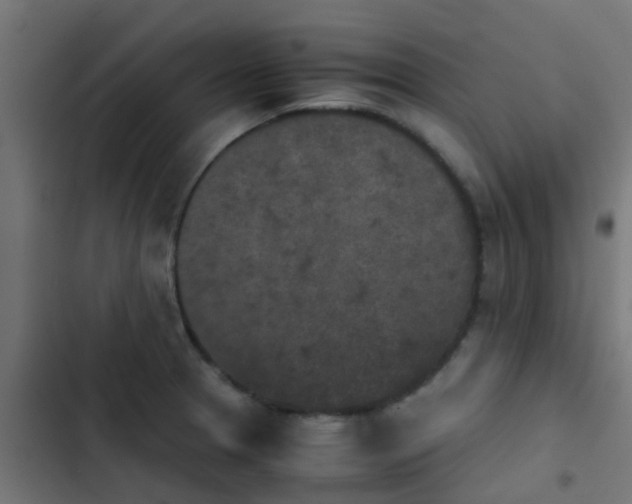 X0000103961329200809261802
